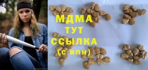 шишки Алексин