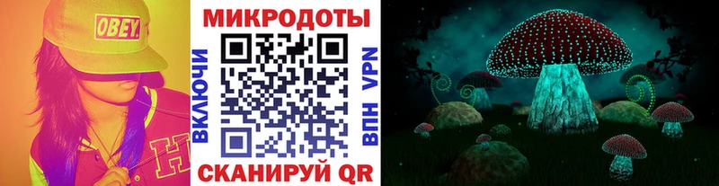 Галлюциногенные грибы GOLDEN TEACHER  закладки  Махачкала 