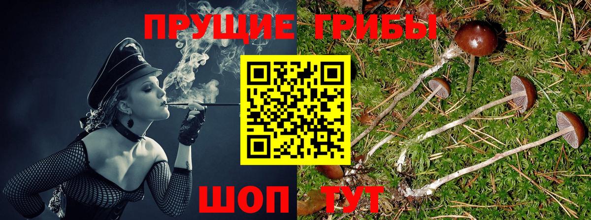 Псилоцибиновые грибы мухоморы  Вход с VPN  Галлюциногенные грибы ЛСД  Махачкала 