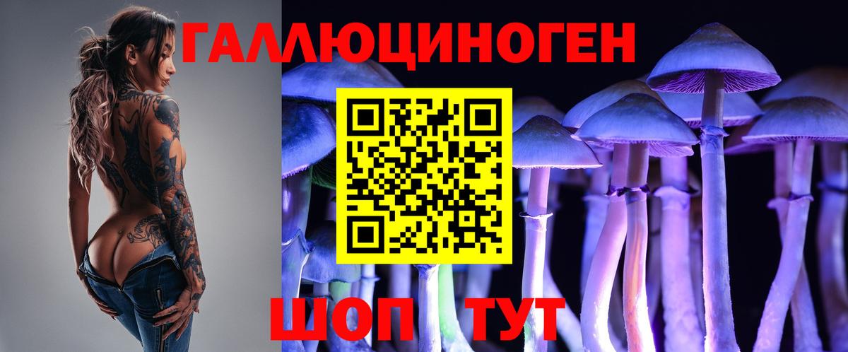 Псилоцибиновые грибы Psilocybe Махачкала